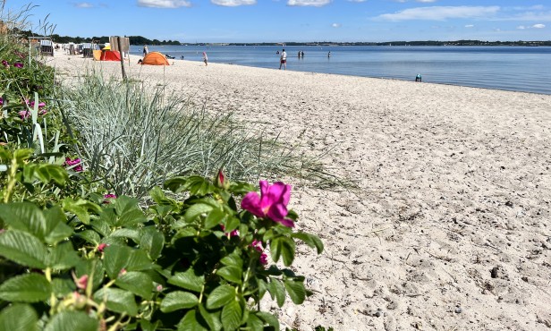 Holnis Strand 3